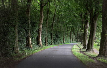 Fototapeta premium Landstrasse