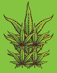 illustration of marijuana
