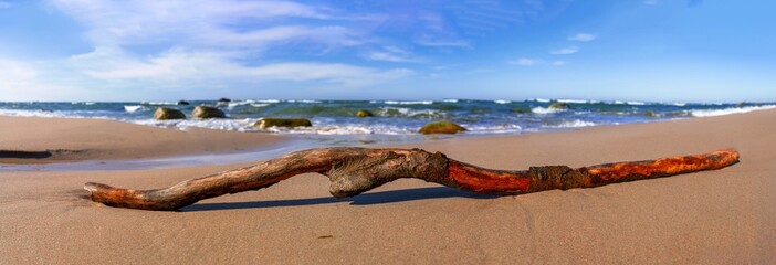 Treibgut Wurzel am Ostsse Strand bei herrlichen Sonnenschein