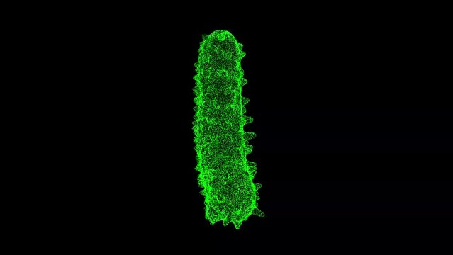 3D Bacterium rotates on black background. Object made of shimmering particles. Health Medicine concept. For title, text, presentation. 3d animation 60 FPS
