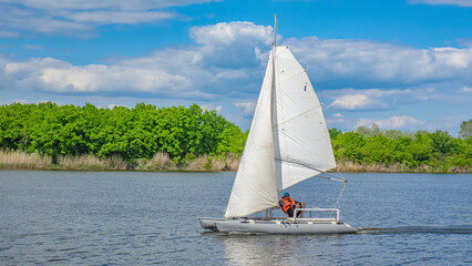 Obraz premium The world around, nature, plants, flowers.