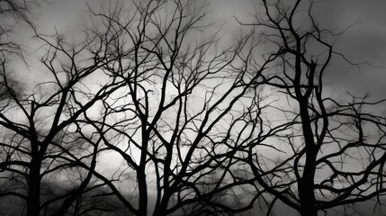 Black white background. Silhouettes of bare tree branches against the sky. Close-up. Loneliness, sadness, depression, frustration concept. Generative AI.