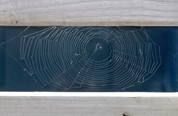 Toile d'araignée et cadre bois