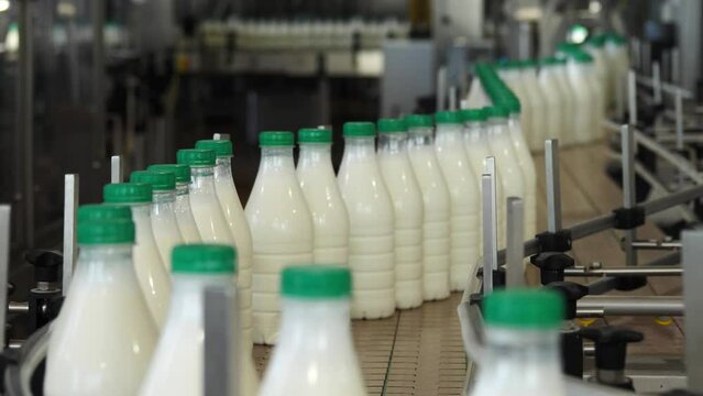 plastic milk bottles are moving along the conveyor at the dairy plant. close-up