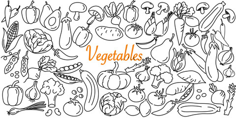 Hand drawn set of vegetables doodles. Vector illustration on white background.