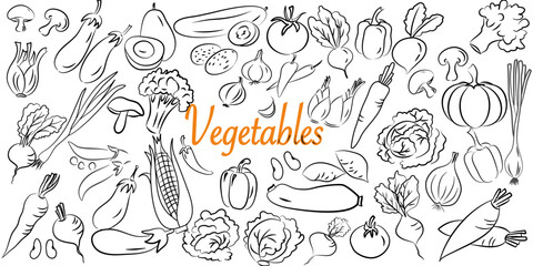 Hand drawn set of vegetables doodles. Vector illustration on white background.