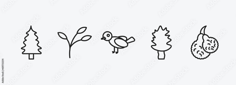 Poster nature outline icons set. nature icons such as eastern redcedar tree, branch, bird, cucumber tree tr