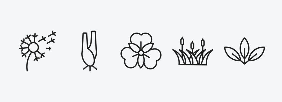 nature outline icons set. nature icons such as dandelion, lemongrass, alstroemeria, reed, acicular vector. can be used web and mobile.