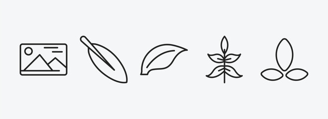 nature outline icons set. nature icons such as landscape inside frame, magnolia leaf, element, sprig with five leaves, asian vector. can be used web and mobile.