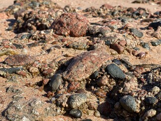 Background of textural multi-colored stones on the shore of the Red Sea in Sharm El Sheikh