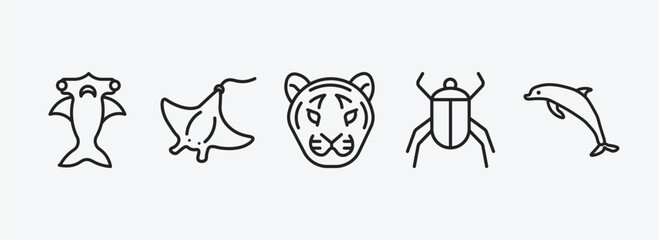 animals outline icons set. animals icons such as hummerhead, manta ray, tiger, beetle, dolphin jumping vector. can be used web and mobile.