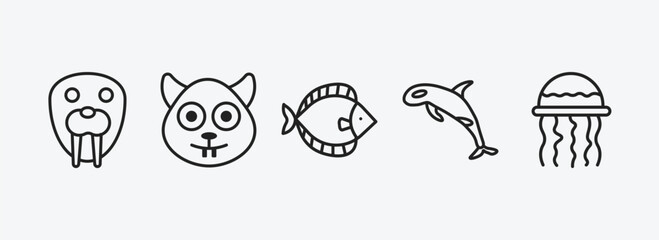 animals collection. outline icons set. animals collection. icons such as walrus, squirrel, flounder, grampus, medusa vector. can be used web and mobile.