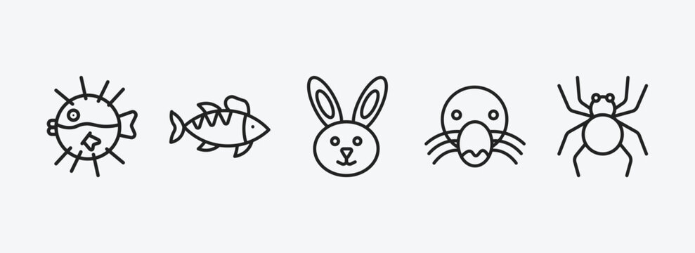 animals outline icons set. animals icons such as globe fish, perch, rabbit, mole, spider vector. can be used web and mobile.