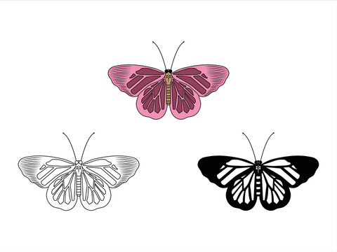 Butterfly Clipart SVG | Butterfly Stencil Svg | Butterflies Svg | Monarch Butterfly Svg | Butterfly Clipart