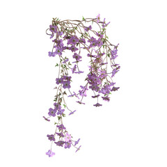 3d render illustration clematis tree falling vines isolated
