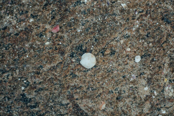 Ubatuba - SP - Praia do Português e Praia do Felix. As praias mais lindas que eu já tive a oportunidade de conhecer! 