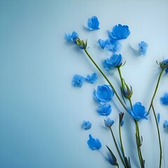 Fototapeta na wymiar blue iris flowers