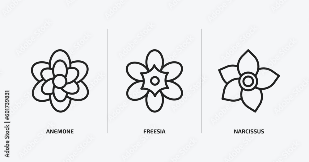 Poster nature outline icons set. nature icons such as anemone, freesia, narcissus vector. can be used web a