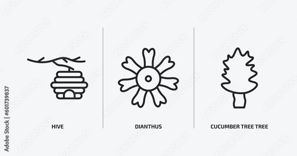 Poster nature outline icons set. nature icons such as hive, dianthus, cucumber tree tree vector. can be use