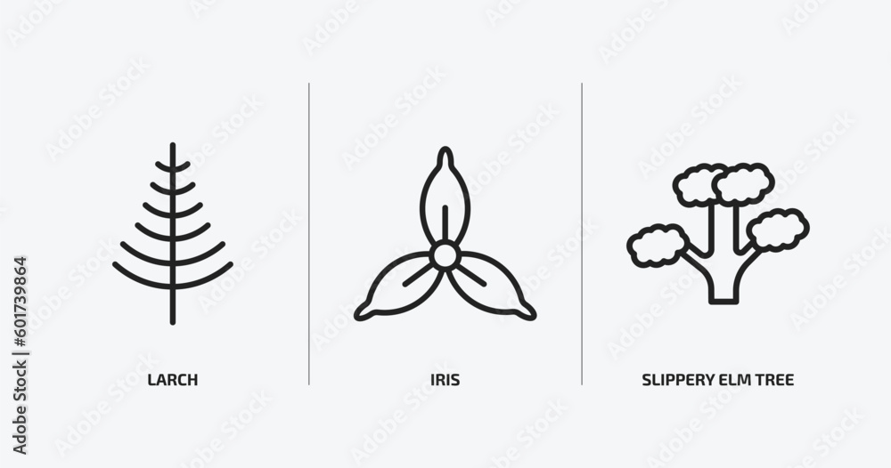 Poster nature outline icons set. nature icons such as larch, iris, slippery elm tree vector. can be used we