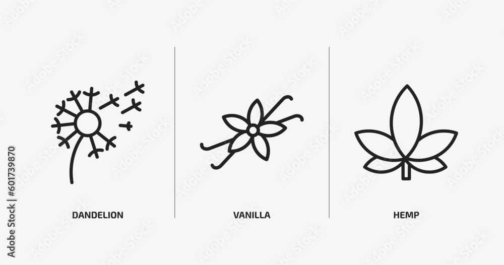 Poster nature outline icons set. nature icons such as dandelion, vanilla, hemp vector. can be used web and 