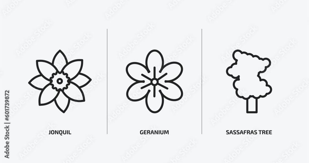 Poster nature outline icons set. nature icons such as jonquil, geranium, sassafras tree vector. can be used