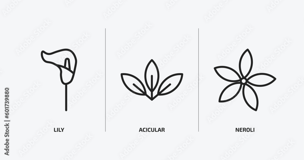 Poster nature outline icons set. nature icons such as lily, acicular, neroli vector. can be used web and mo
