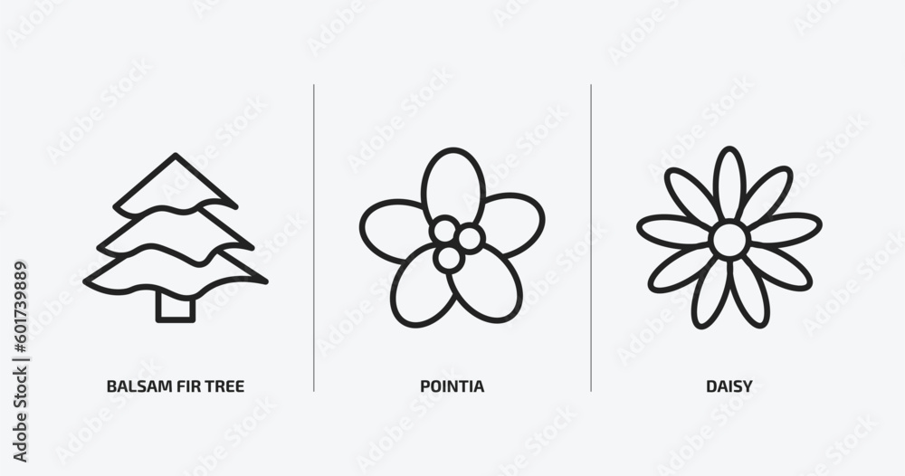 Poster nature outline icons set. nature icons such as balsam fir tree, pointia, daisy vector. can be used w