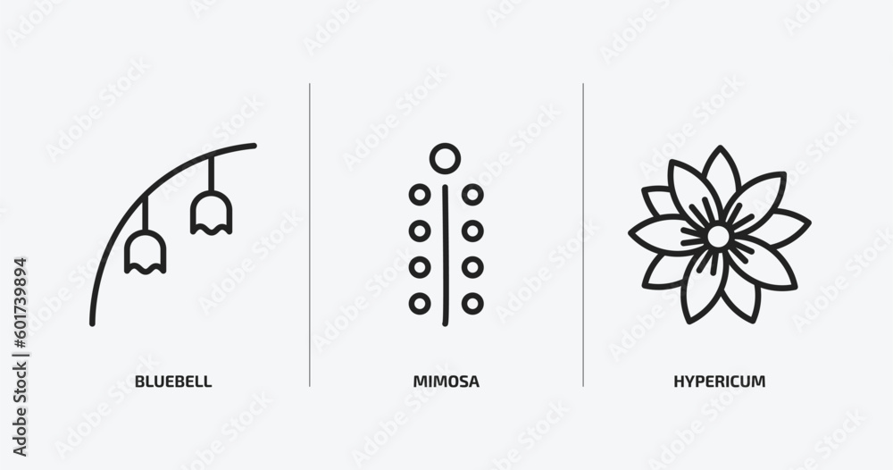 Poster nature outline icons set. nature icons such as bluebell, mimosa, hypericum vector. can be used web a
