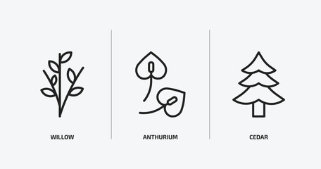 nature outline icons set. nature icons such as willow, anthurium, cedar vector. can be used web and mobile.