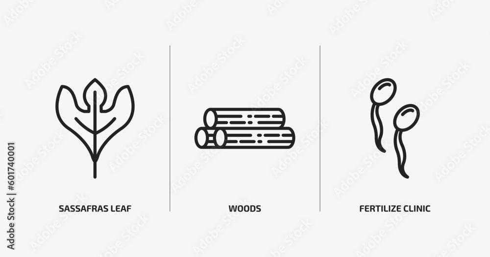 Poster nature outline icons set. nature icons such as sassafras leaf, woods, fertilize clinic vector. can b