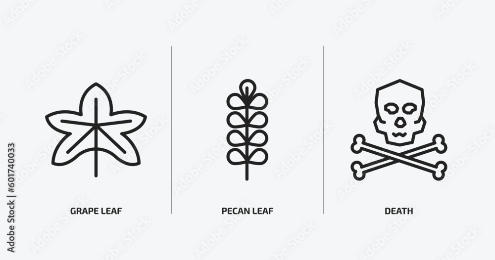 Poster nature outline icons set. nature icons such as grape leaf, pecan leaf, death vector. can be used web