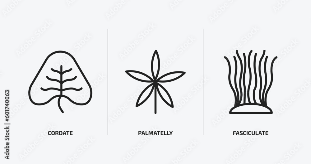 Poster nature outline icons set. nature icons such as cordate, palmatelly, fasciculate vector. can be used 
