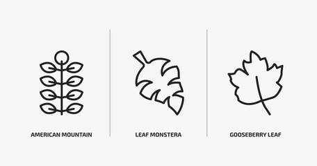 nature outline icons set. nature icons such as american mountain ash, leaf monstera, gooseberry leaf vector. can be used web and mobile.