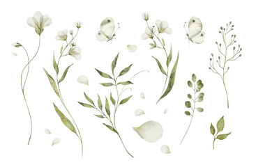 Botanic illustration isolated on white background. Set watercolor elements of white spring flowers collection garden, twig, leaves, petals.