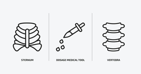 medical outline icons set. medical icons such as sternum, dosage medical tool, vertebra vector. can be used web and mobile.