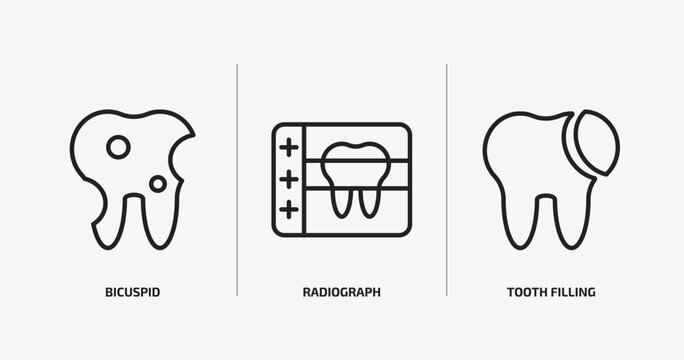 dentist outline icons set. dentist icons such as bicuspid, radiograph, tooth filling vector. can be used web and mobile.