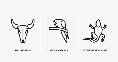 culture outline icons set. culture icons such as skull of a bull, aw on a branch, gecko top view shape vector. can be used web and mobile.
