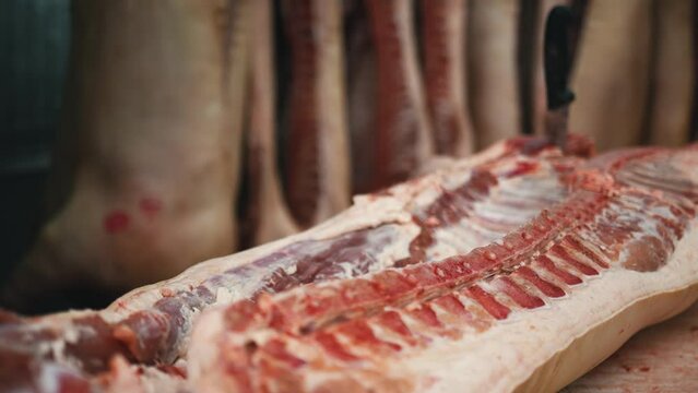 Meat processing plant, butcher cuts pork carcasses, meat production and food industry, process of harvesting meat, worker uses equipment for slicing meat.