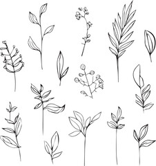 Silhouettes of wildflowers from simple lines on a white background design beautiful botanical elements. botanical leaf drawings, a set of hand-drawing leaves, and leaf vector art, isolated on white