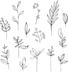Foto op Aluminium Aquarel natuur set Silhouettes of wildflowers from simple lines on a white background design beautiful botanical elements. botanical leaf drawings, a set of hand-drawing leaves, and leaf vector art, isolated on white