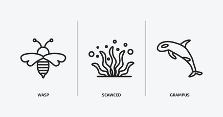 animals outline icons set. animals icons such as wasp, seaweed, grampus vector. can be used web and mobile.