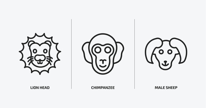 animals outline icons set. animals icons such as lion head, chimpanzee, male sheep vector. can be used web and mobile.