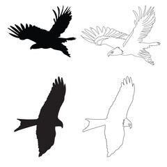 Obraz premium Flying Bird Silhouette and line art Vector Group Set