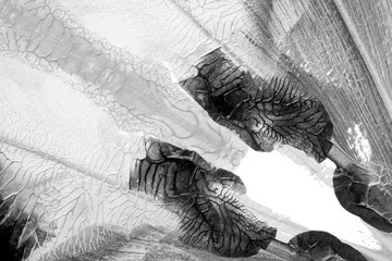 black white abstract acrylic painting color texture on white paper background by using rorschach inkblot method