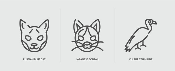 Fototapeta na wymiar set of 3 outline icons in animal collection concept. thin line icons including russian blue cat thin line, japanese bobtail cat thin line, vulture vector. can be used web and mobile.