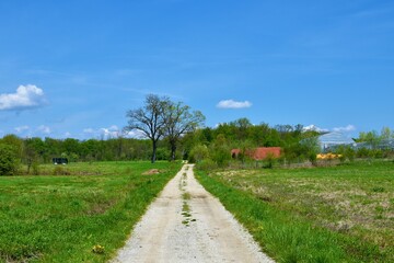 Gravel road leading through fields to Krakov forest near Kostanjevica na Krki in Dolenjska, Slovenia