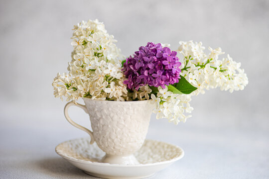 Front view of bouquet of lilac flowers in ceramic cup