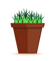 Young green grass in a pot. Indoor plant. Houseplant. Vector illustration