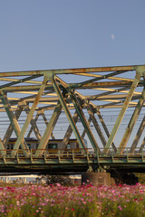 Fototapeta premium 鉄橋を走る電車